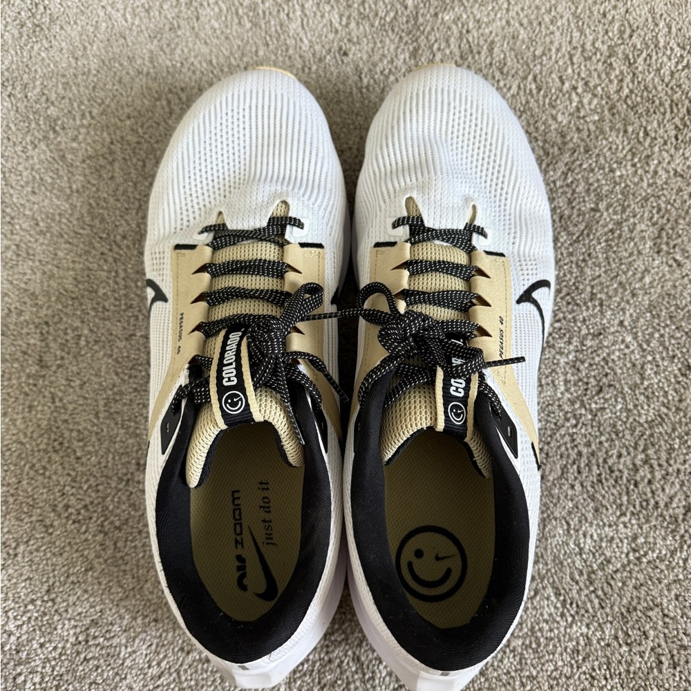 Nike Pegasus Shoes